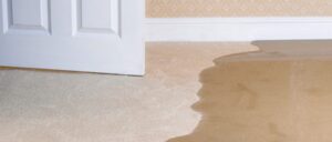 Things that can go wrong when you don’t use a professional Carpet Cleaner